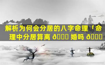 解析为何会分居的八字命理「命理中分居算离 🐘 婚吗 🐈 」